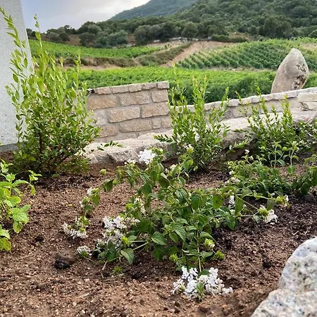 Tenuta Paltusa Agroturismo