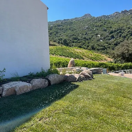 Tenuta Paltusa *