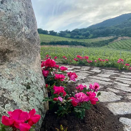 Tenuta Paltusa *