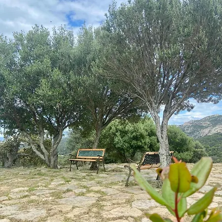 Farma Tenuta Paltusa