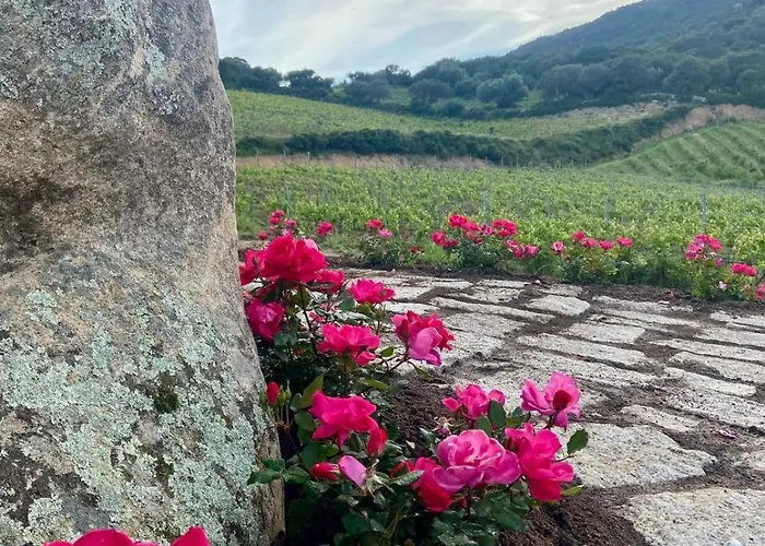 Tenuta Paltusa *